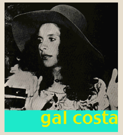 Gal Costa portrait
